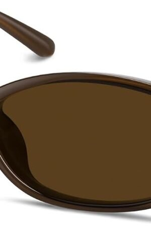 Womens Oval Sunglasses 90s Retro Cat Eye Glasses UV400 Shades